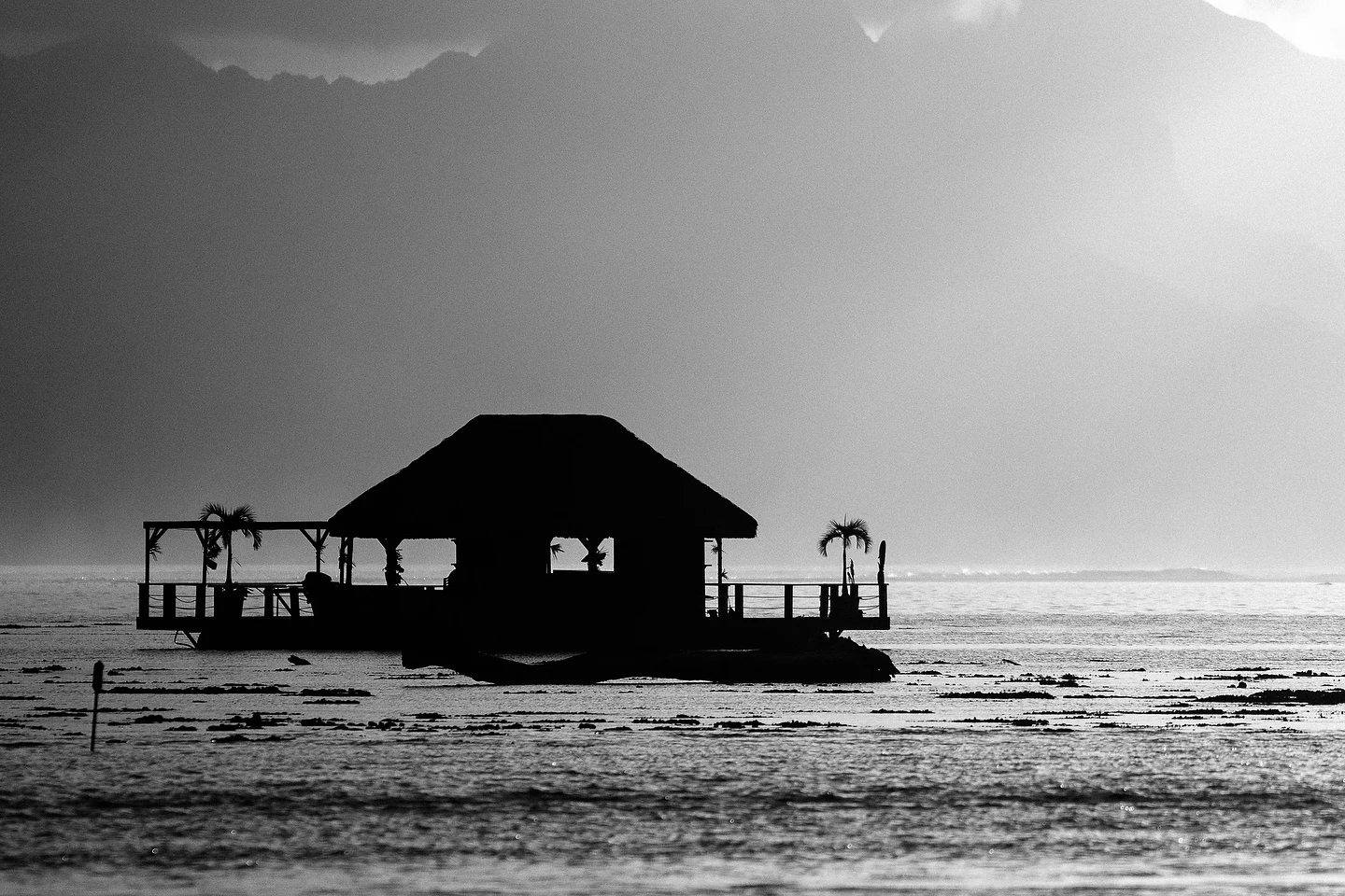 170609 5DMKII 1835 2500px