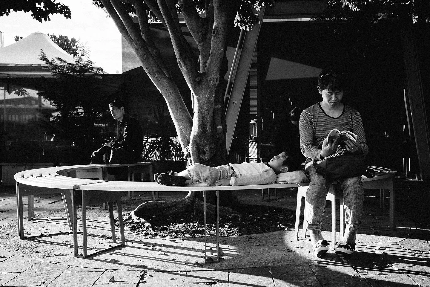 Gastontrussi Street Sydney Australia 0006