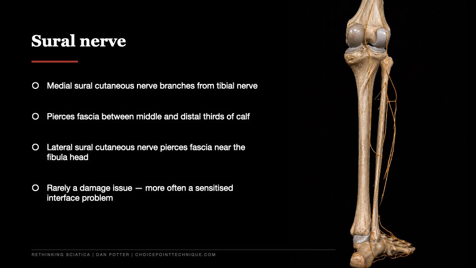 Slide 19 of 27