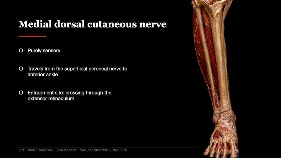 Slide 21 of 27